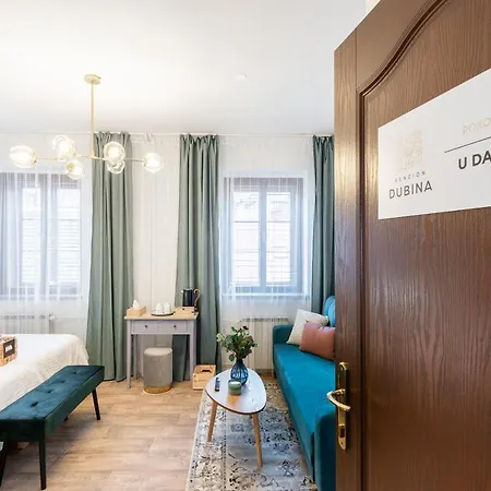 招待所 杜比纳旅馆