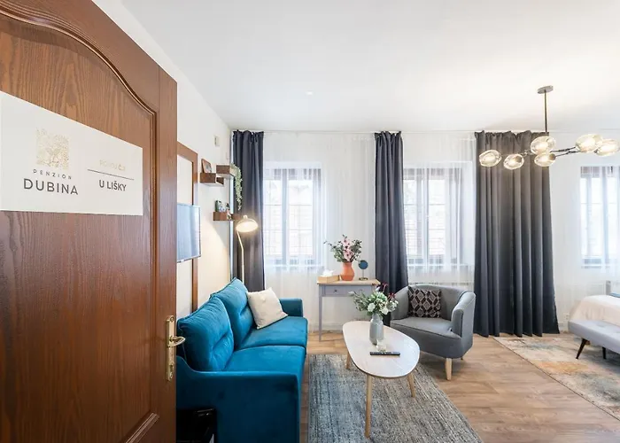 杜比纳旅馆 Litoměřice